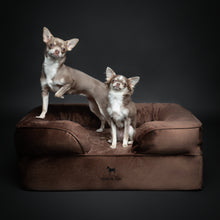 Noah & Paw orthopedic sofa dog bed in velvet with memory foam and cooling gel, brown, size M (28 x 23 x 11 in)