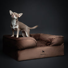 Noah & Paw orthopedic sofa dog bed in velvet with memory foam and cooling gel, brown, size M (28 x 23 x 11 in)