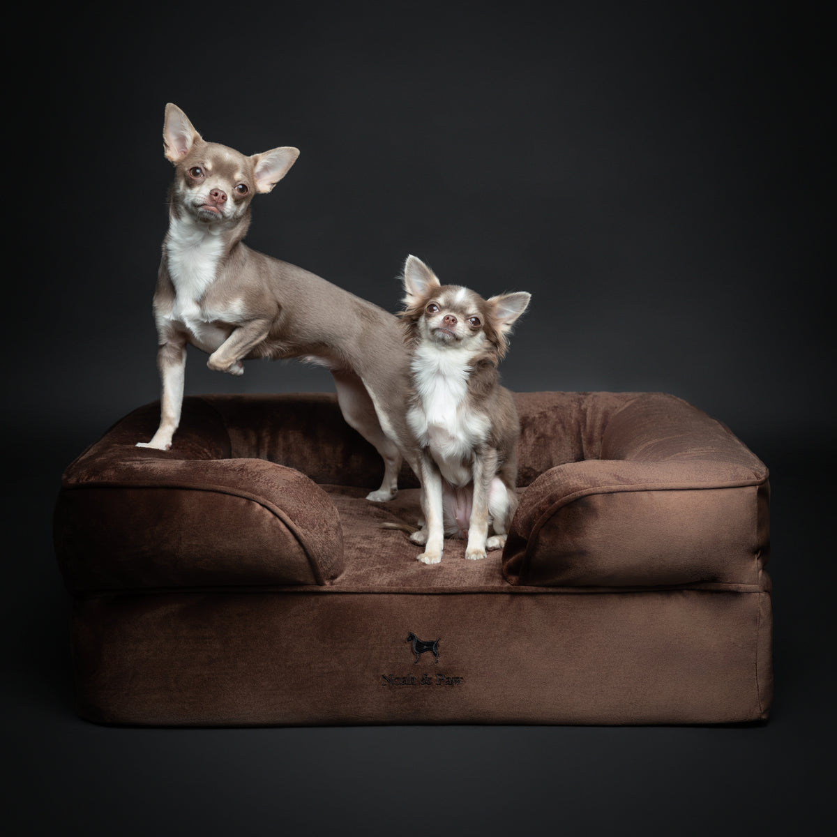 Velvet Orthopedic Pet Bed, Memory Foam, Infused with Cooling Gel