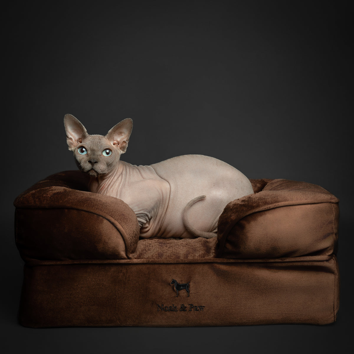Noah & Paw orthopedic sofa dog bed in velvet with memory foam and cooling gel, brown, size S (20 x 15 x 8 in)