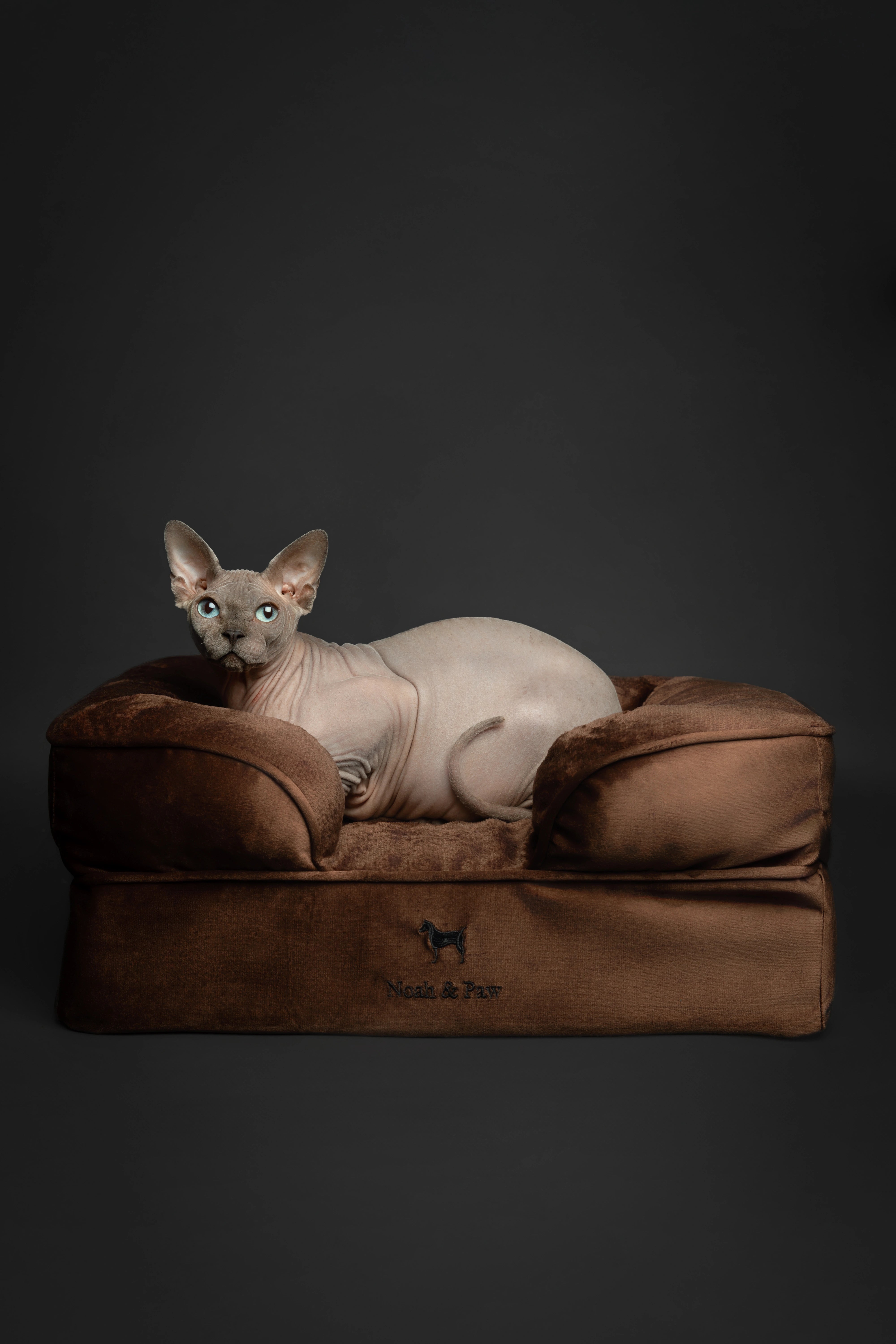 Velvet, Orthopedic Pet Bed, Sofa Style - Brown - S