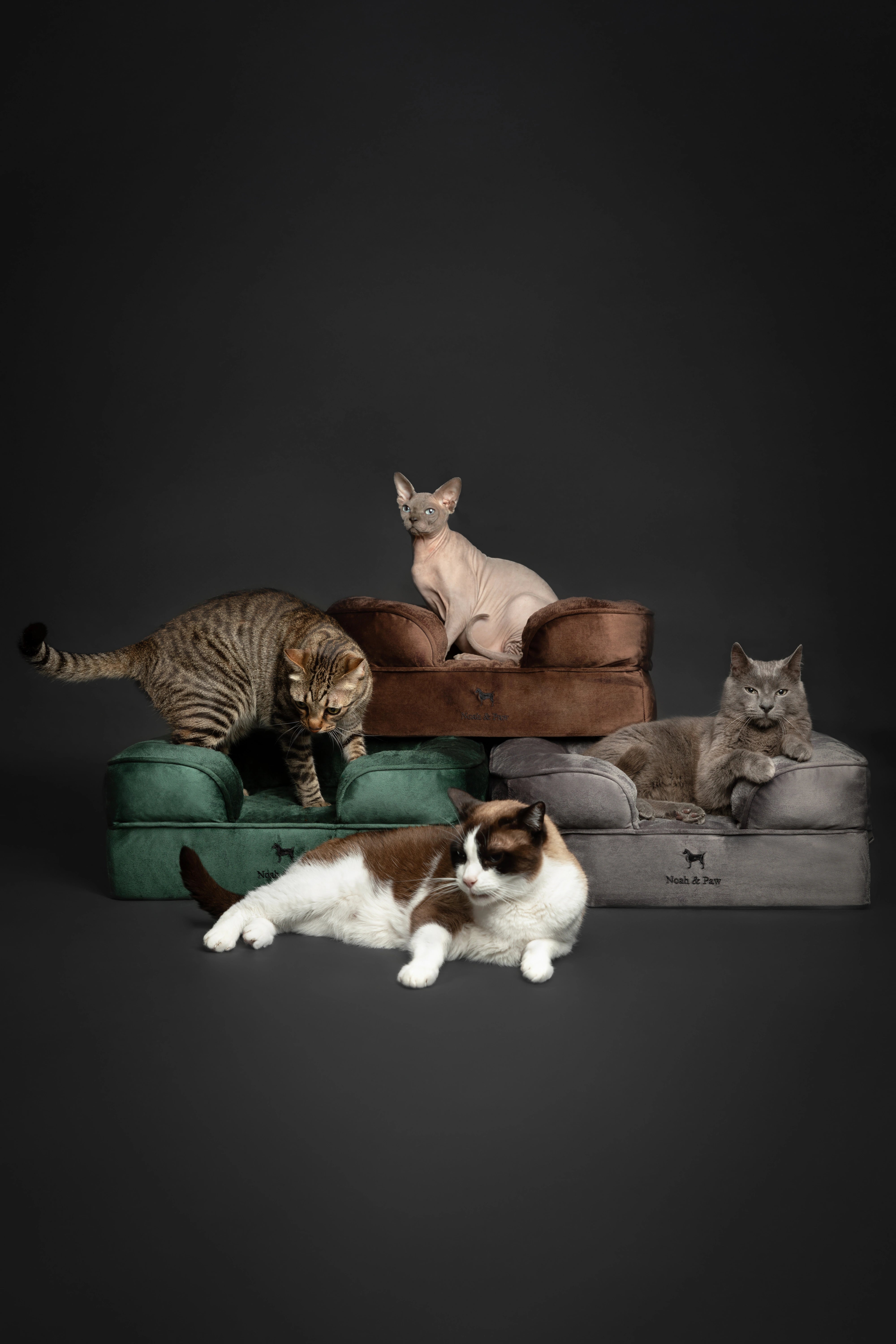 Velvet, Orthopedic Pet Bed, Sofa Style - Brown - S