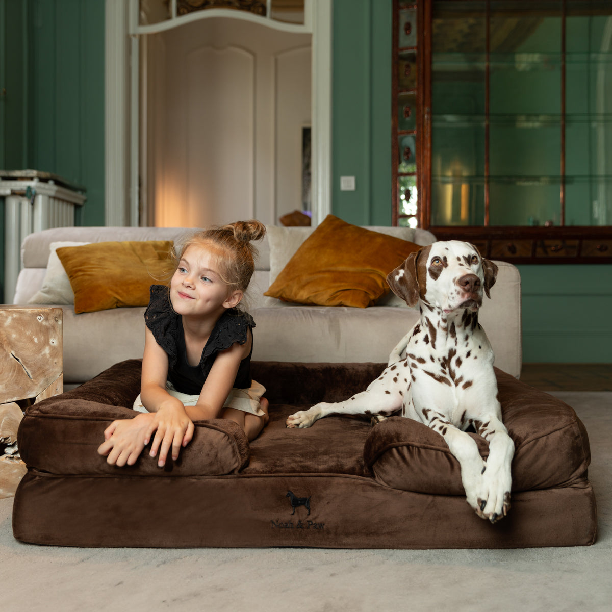 Noah & Paw orthopedic sofa dog bed in velvet with memory foam and cooling gel, brown, size XL (45 x 35 x 11 in)