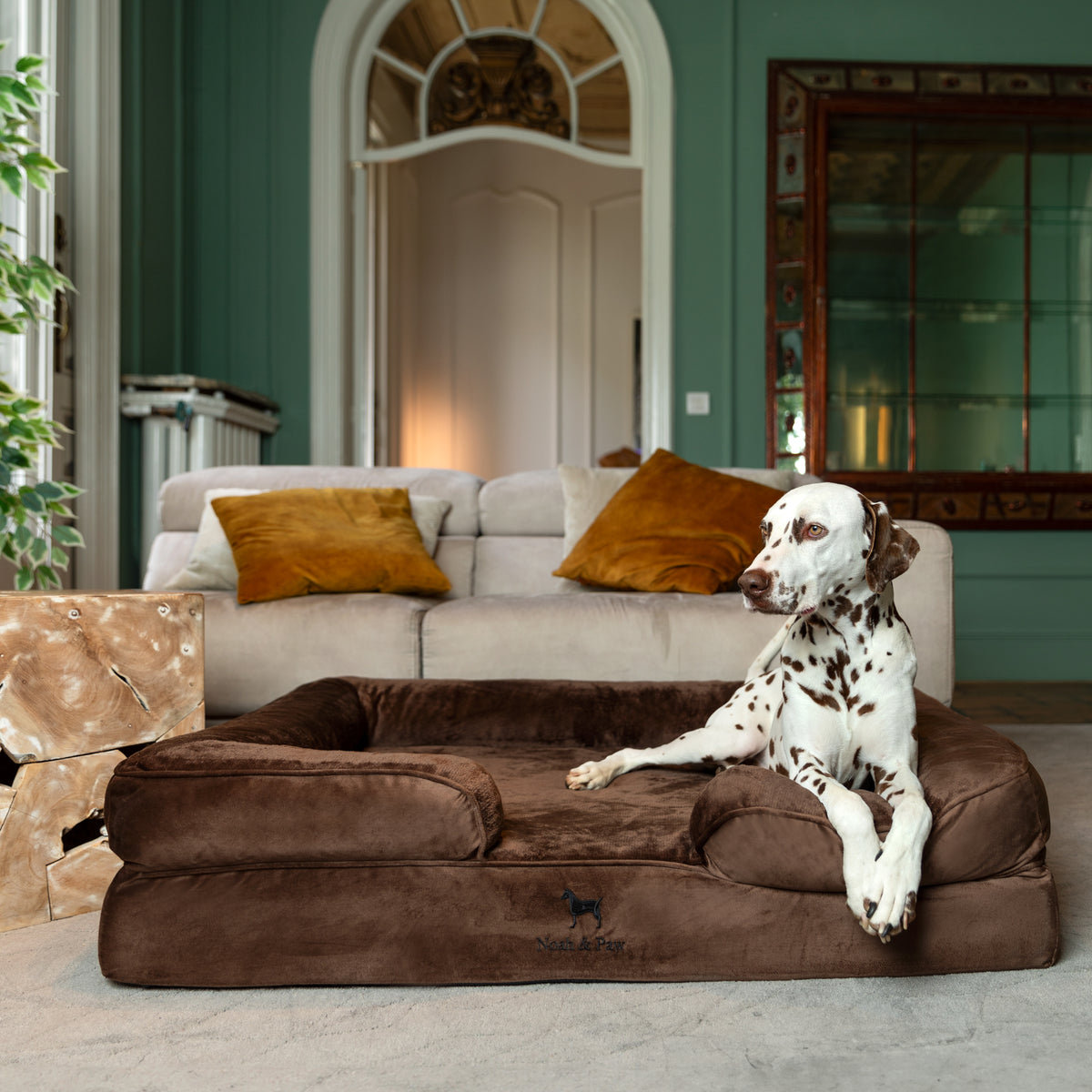 Noah & Paw orthopedic sofa dog bed in velvet with memory foam and cooling gel, brown, size XL (45 x 35 x 11 in)