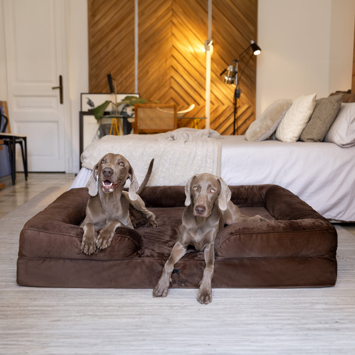 Noah & Paw orthopedic sofa dog bed in velvet with memory foam and cooling gel, brown, size XL (45 x 35 x 11 in)