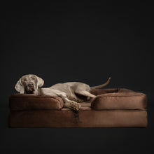 Velvet Orthopedic Pet Bed, Memory Foam, Infused with Cooling Gel