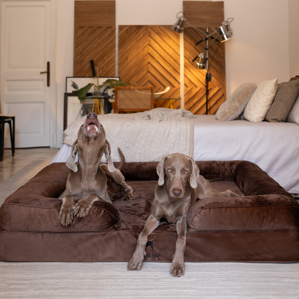 Noah & Paw orthopedic sofa dog bed in velvet with memory foam and cooling gel, brown, size XXL (55 x 45 x 11 in)