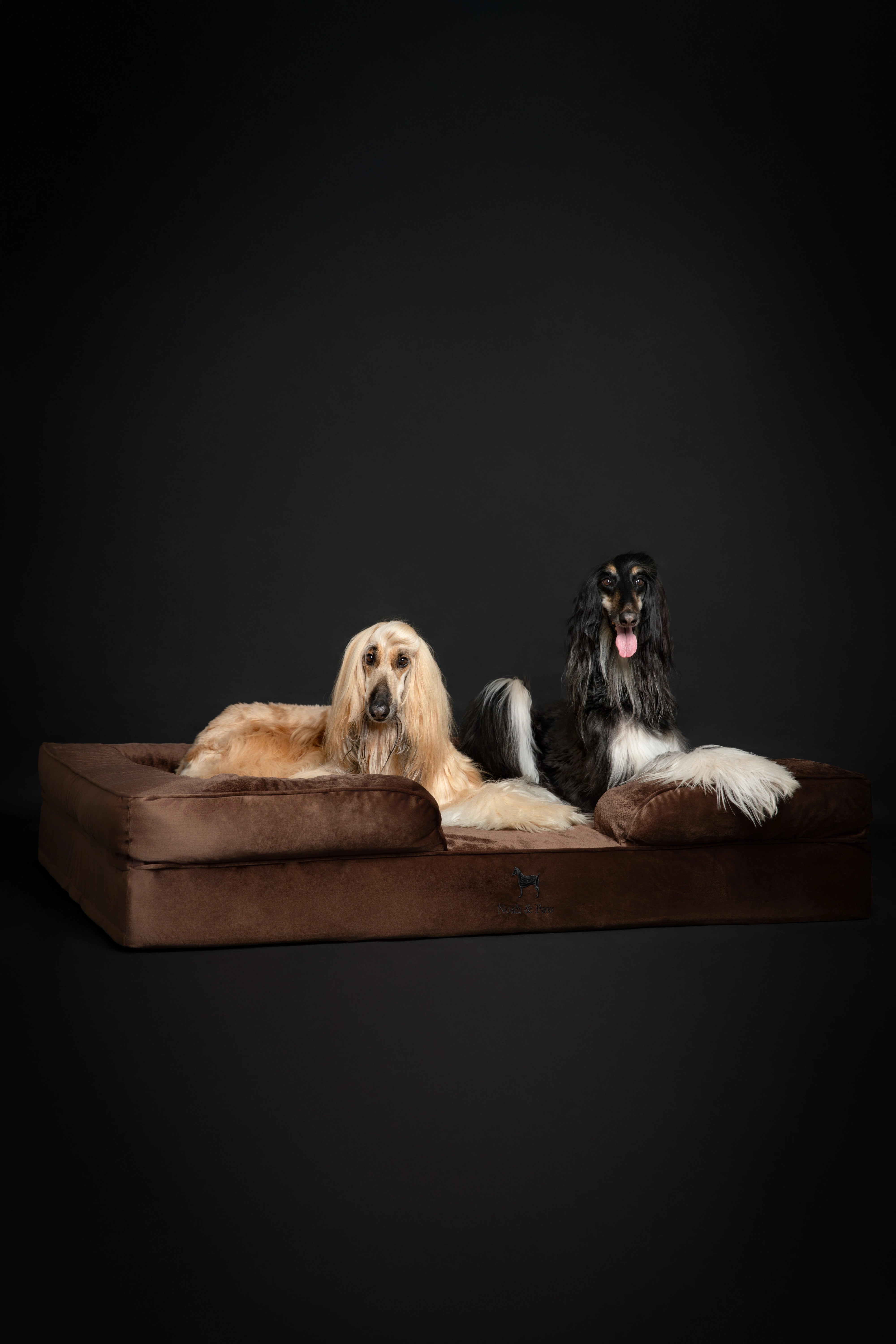 Velvet, Orthopedic Pet Bed, Sofa Style - Brown - XXL