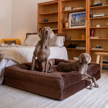 Noah & Paw orthopedic sofa dog bed in velvet with memory foam and cooling gel, brown, size XXL (55 x 45 x 11 in)