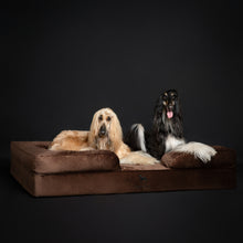 Noah & Paw orthopedic sofa dog bed in velvet with memory foam and cooling gel, brown, size XXL (55 x 45 x 11 in)