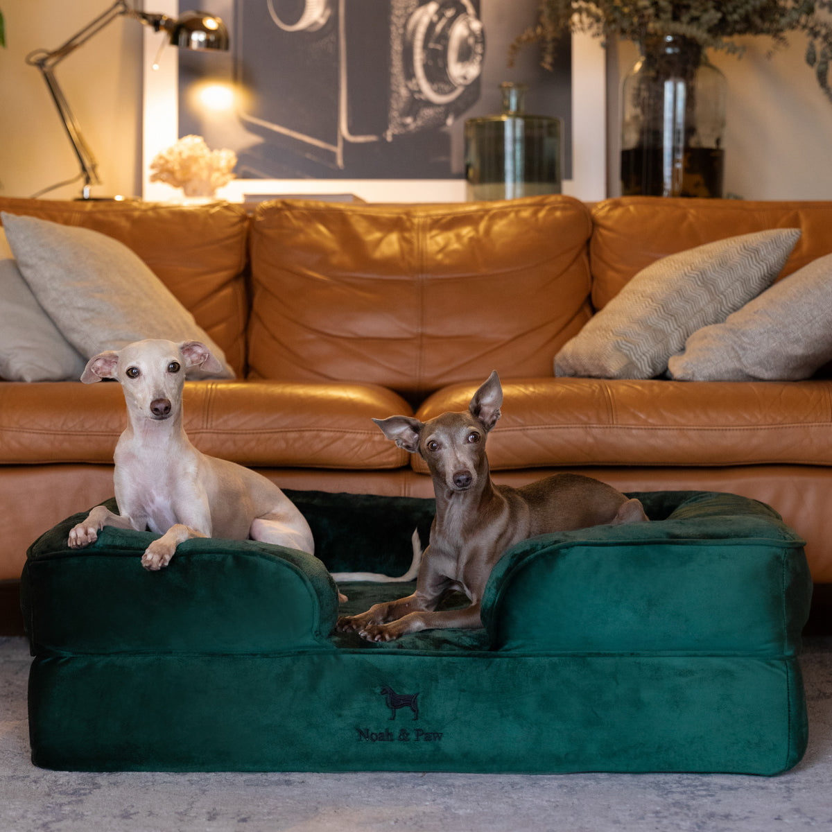 Noah & Paw orthopedic sofa dog bed in velvet with memory foam and cooling gel, dark green, size L (35 x 25 x 11 in)