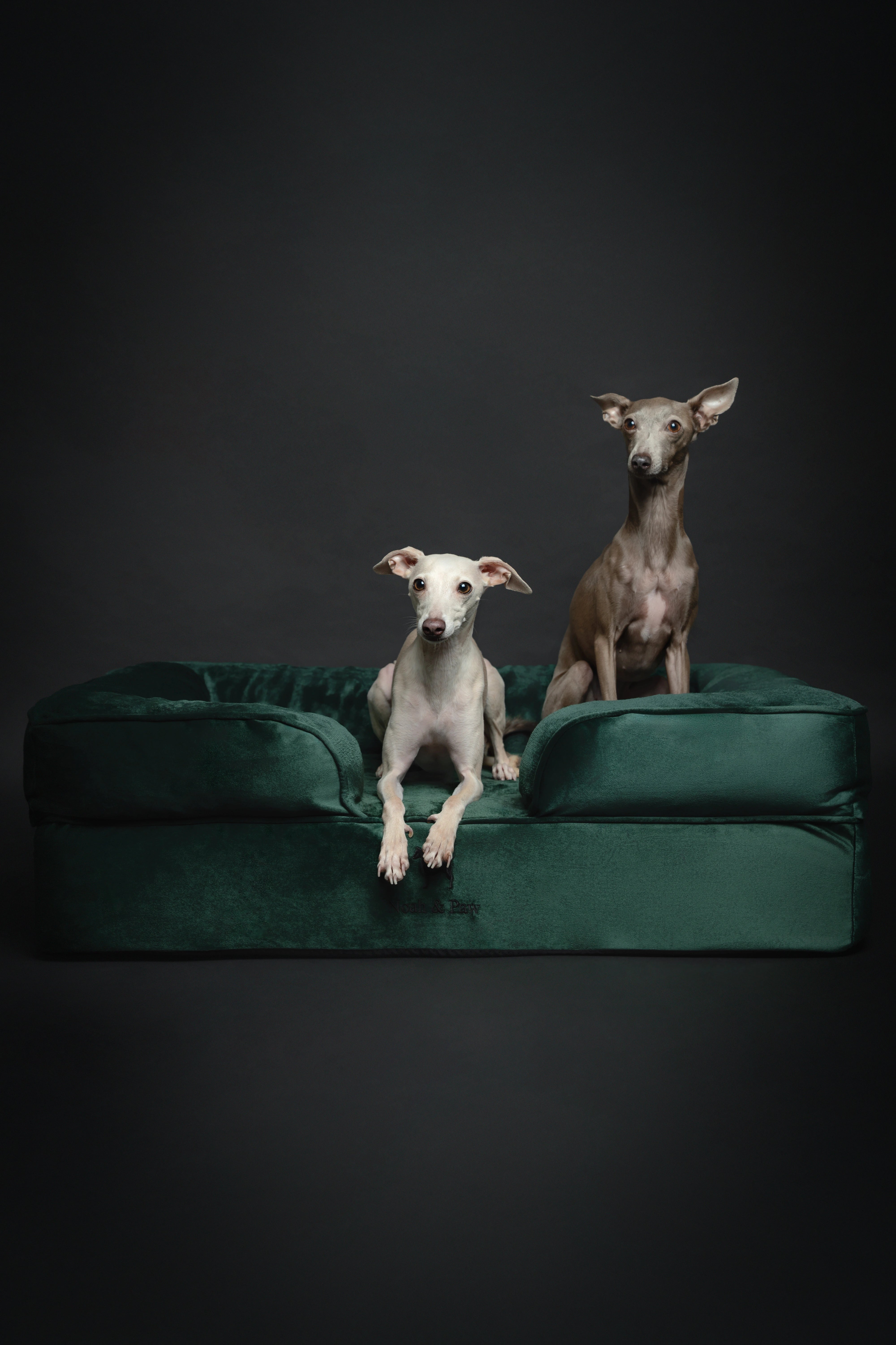 Velvet, Orthopedic Pet Bed, Sofa Style - Dark Green - L