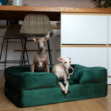 Noah & Paw orthopedic sofa dog bed in velvet with memory foam and cooling gel, dark green, size L (35 x 25 x 11 in)