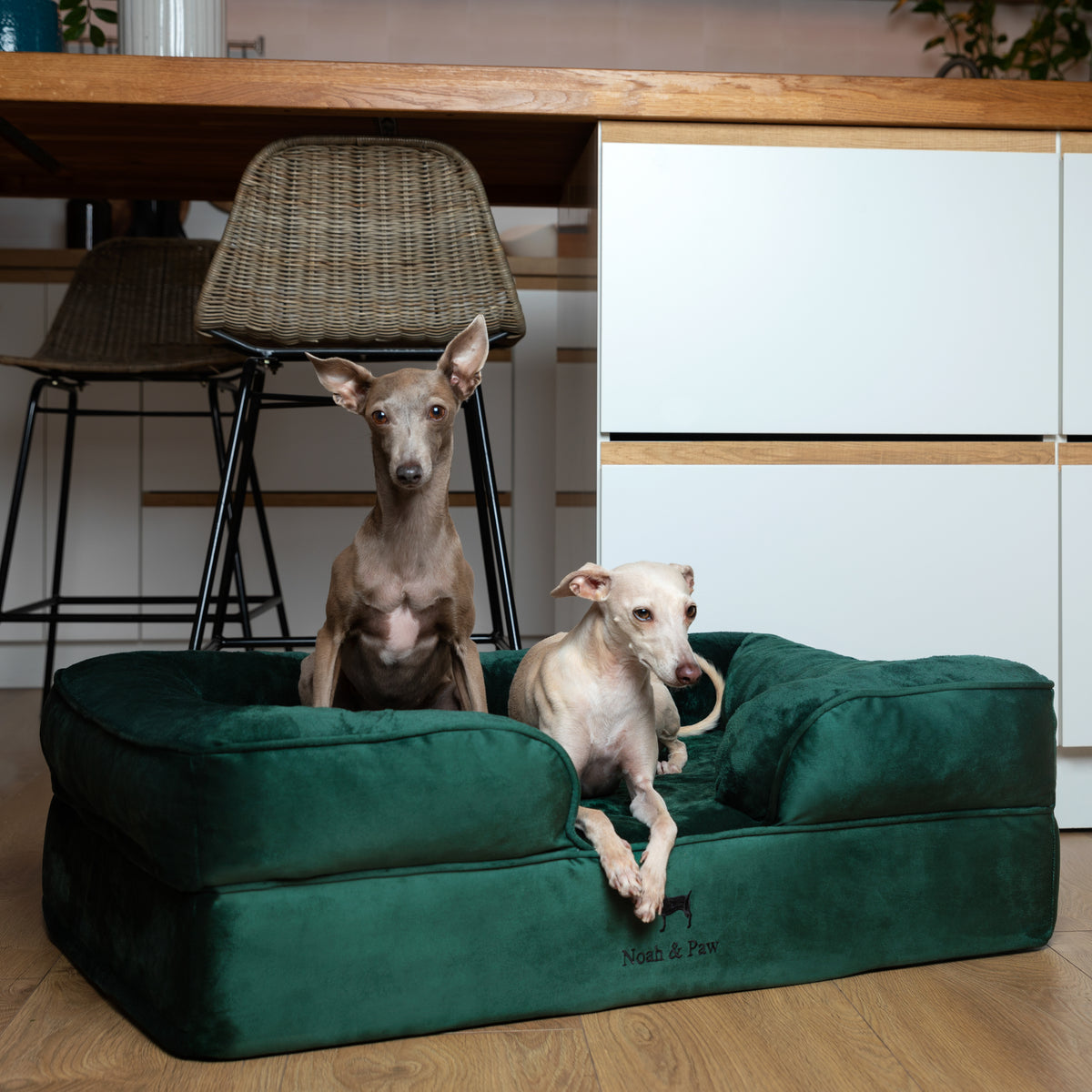 Noah & Paw orthopedic sofa dog bed in velvet with memory foam and cooling gel, dark green, size L (35 x 25 x 11 in)