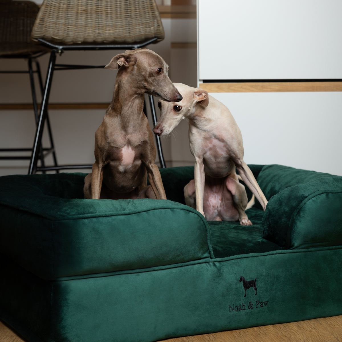 Noah & Paw orthopedic sofa dog bed in velvet with memory foam and cooling gel, dark green, size L (35 x 25 x 11 in)