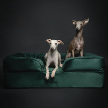 Noah & Paw orthopedic sofa dog bed in velvet with memory foam and cooling gel, dark green, size L (35 x 25 x 11 in)