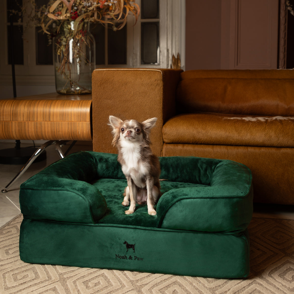 Noah & Paw orthopedic sofa dog bed in velvet with memory foam and cooling gel, dark green, size M (28 x 23 x 11 in)
