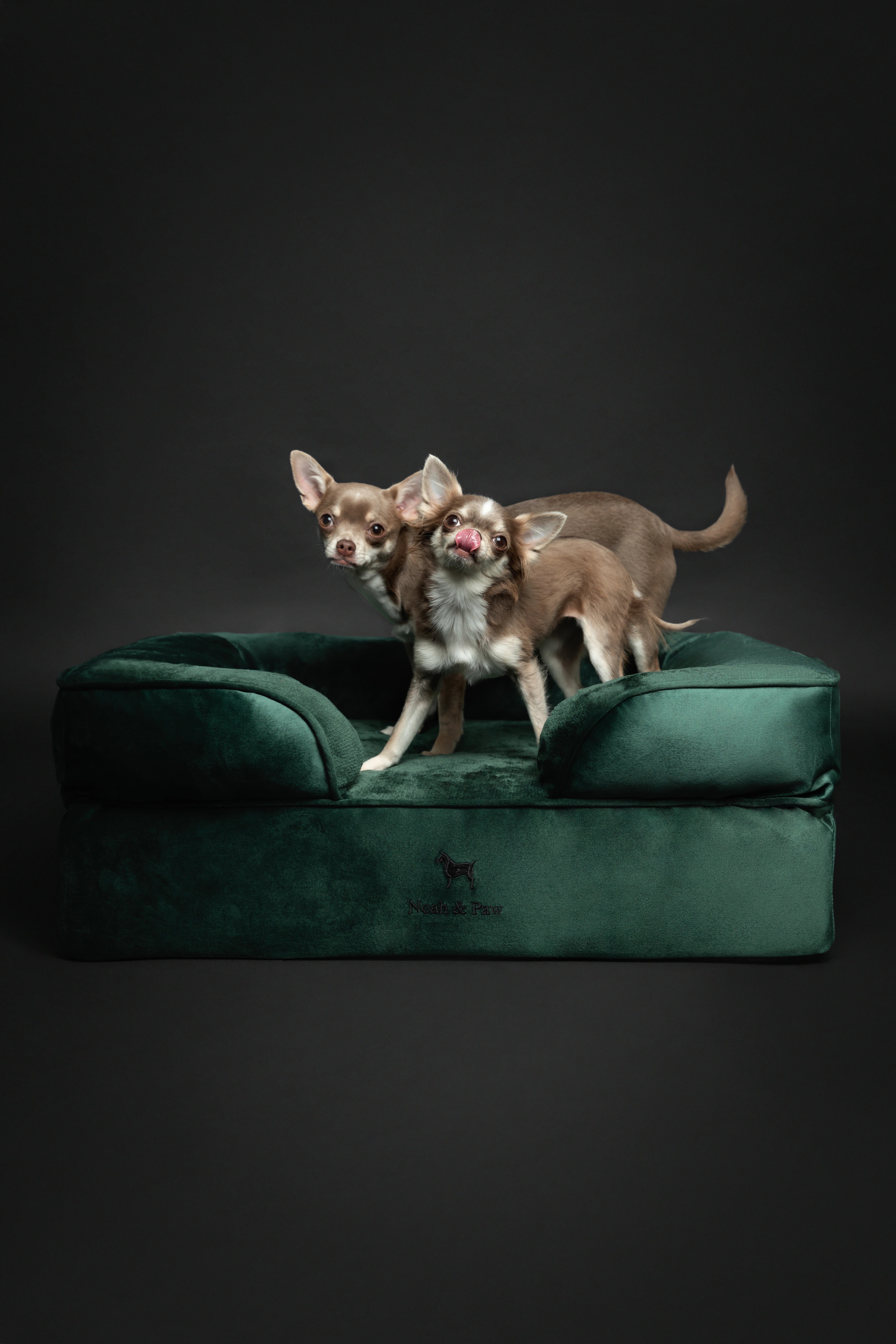 Velvet, Orthopedic Pet Bed, Sofa Style - Dark Green - M