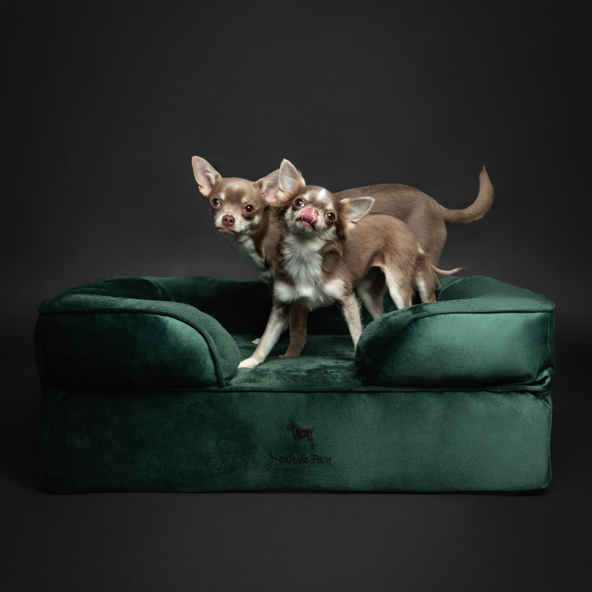 Noah & Paw orthopedic sofa dog bed in velvet with memory foam and cooling gel, dark green, size M (28 x 23 x 11 in)