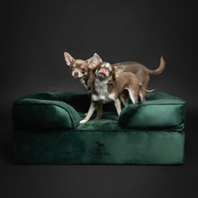 Noah & Paw orthopedic sofa dog bed in velvet with memory foam and cooling gel, dark green, size M (28 x 23 x 11 in)