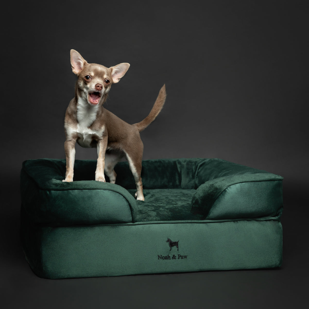 Noah & Paw orthopedic sofa dog bed in velvet with memory foam and cooling gel, dark green, size M (28 x 23 x 11 in)