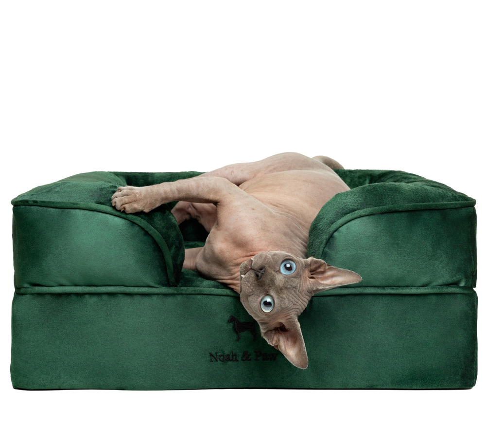 Orthopedic Memory Foam Pet Bed with Cooling Gel – Noah and Paw