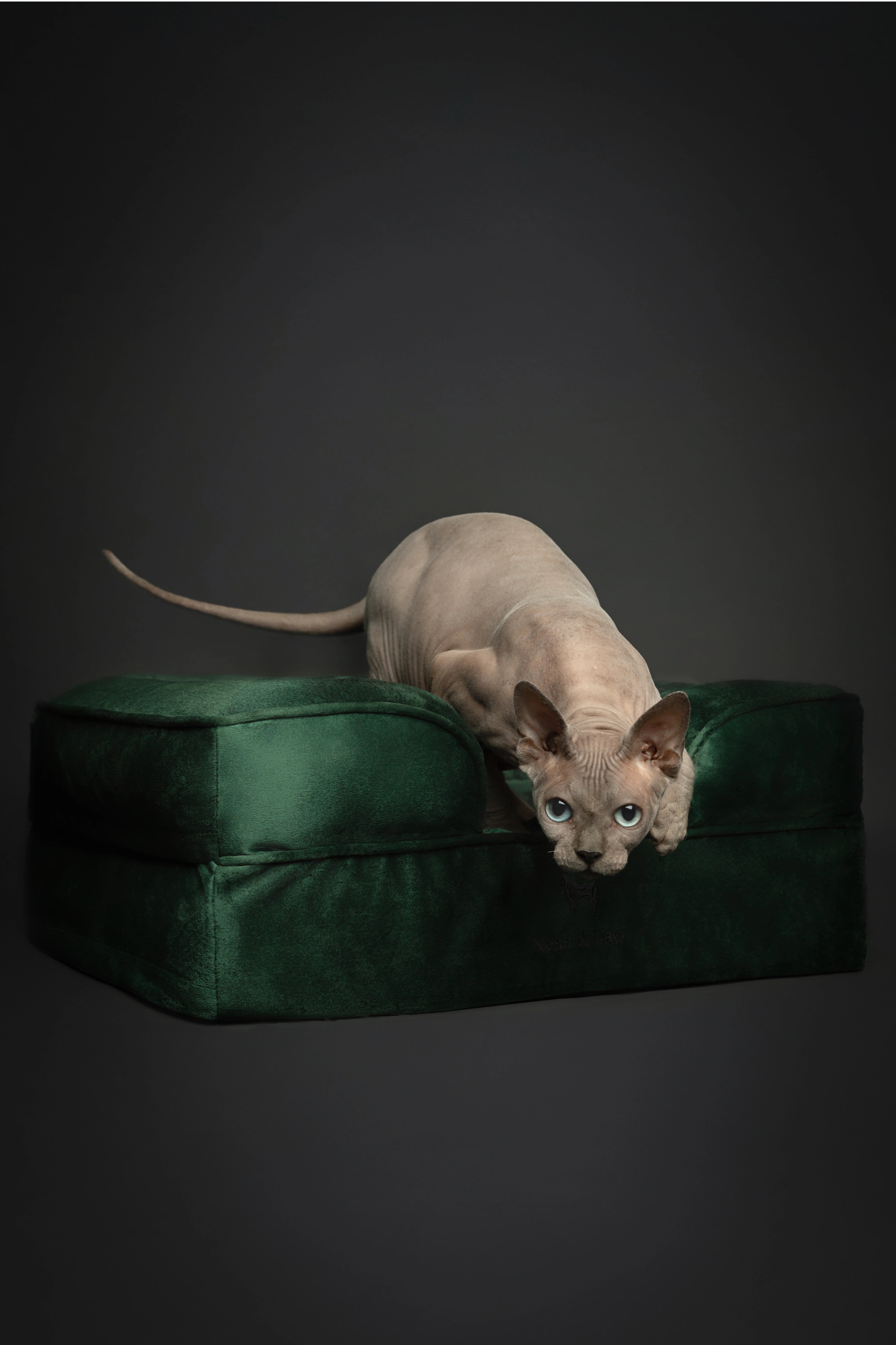 Velvet, Orthopedic Pet Bed, Sofa Style - Dark Green - S