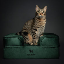Noah & Paw orthopedic sofa dog bed in velvet with memory foam and cooling gel, dark green, size S (20 x 15 x 8 in)