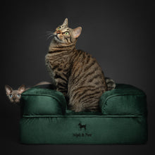 Noah & Paw orthopedic sofa dog bed in velvet with memory foam and cooling gel, dark green, size S (20 x 15 x 8 in)