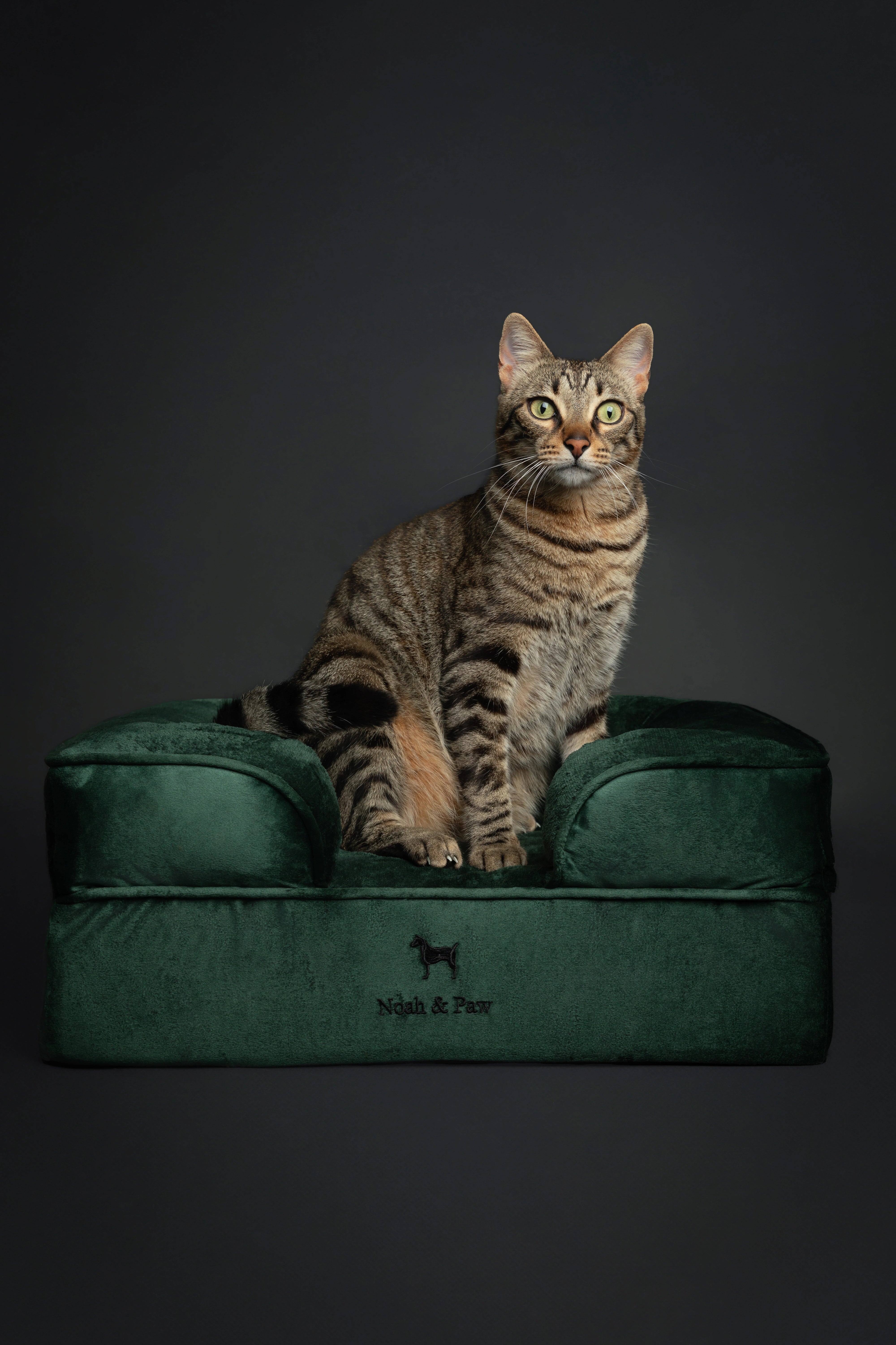 Velvet, Orthopedic Pet Bed, Sofa Style - Dark Green - S
