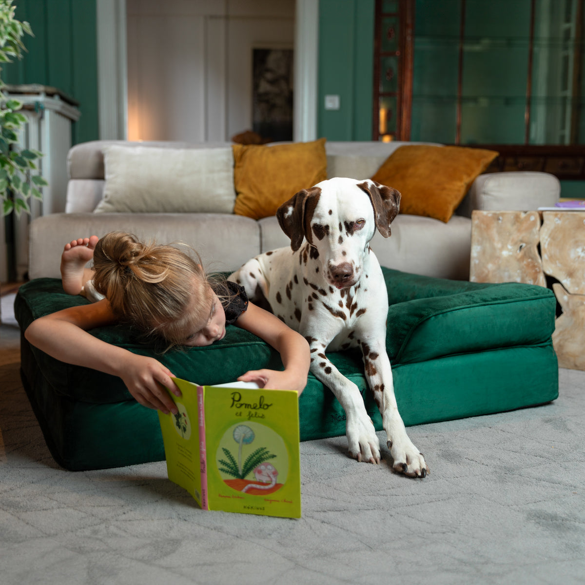 Noah & Paw orthopedic sofa dog bed in velvet with memory foam and cooling gel, dark green, size XL (45 x 35 x 11 in)