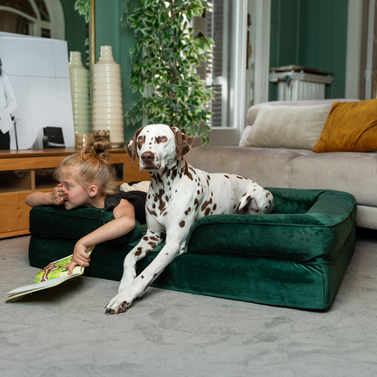 Noah & Paw orthopedic sofa dog bed in velvet with memory foam and cooling gel, dark green, size XL (45 x 35 x 11 in)