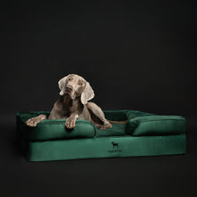 Velvet Orthopedic Pet Bed, Memory Foam, Infused with Cooling Gel