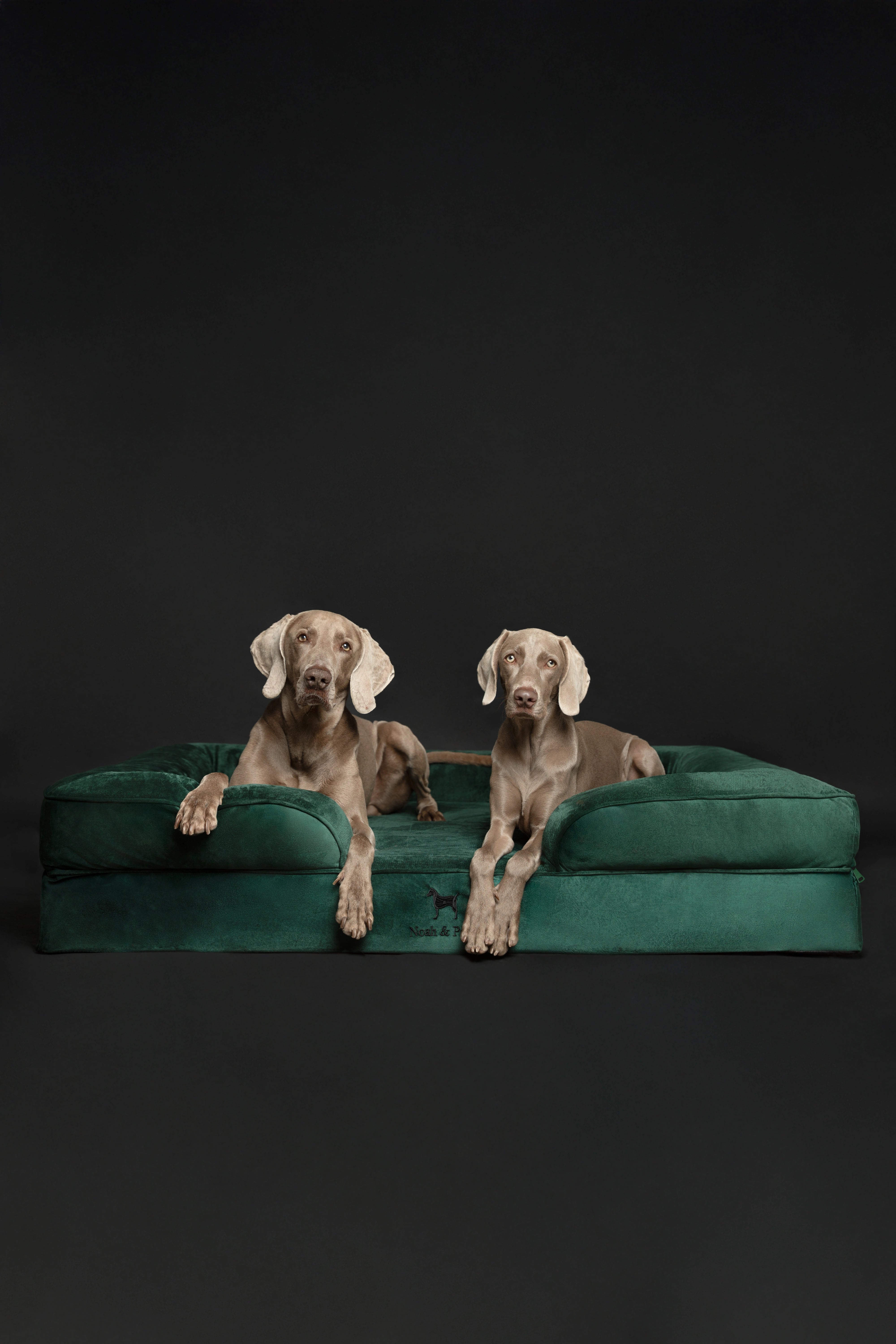 Velvet, Orthopedic Pet Bed, Sofa Style - Dark Green- XXL