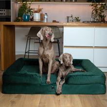 Noah & Paw orthopedic sofa dog bed in velvet with memory foam and cooling gel, dark green, size XXL (55 x 45 x 11 in)