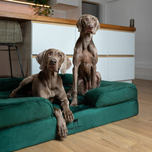 Noah & Paw orthopedic sofa dog bed in velvet with memory foam and cooling gel, dark green, size XXL (55 x 45 x 11 in)