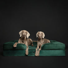Velvet Orthopedic Pet Bed, Memory Foam, Infused with Cooling Gel