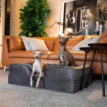 Noah & Paw orthopedic sofa dog bed in velvet with memory foam and cooling gel, gray, size L (35 x 25 x 11 in)