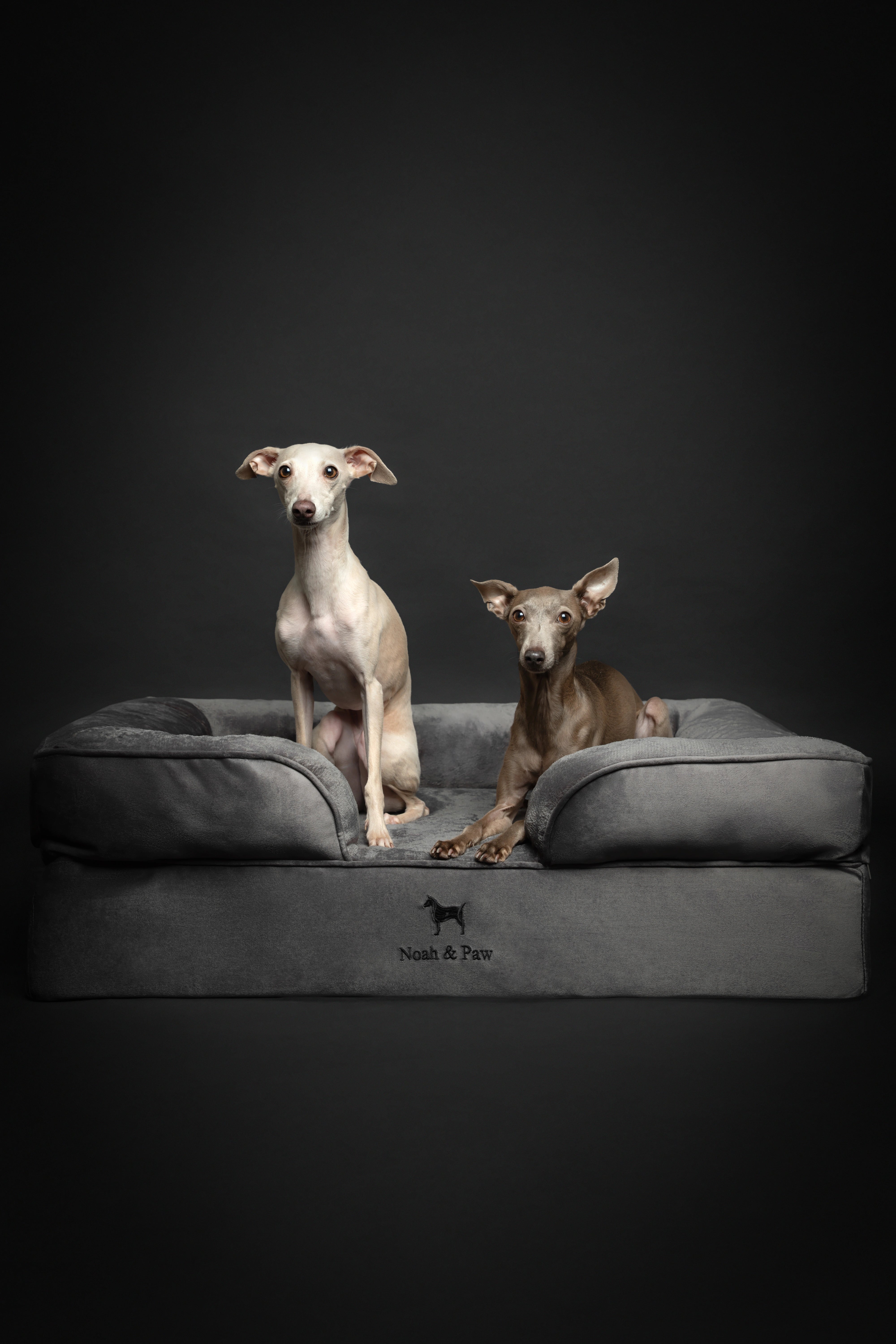 Velvet, Orthopedic Pet Bed, Sofa Style - Grey - L