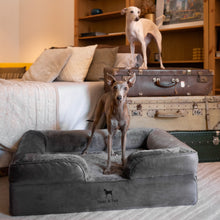 Noah & Paw orthopedic sofa dog bed in velvet with memory foam and cooling gel, gray, size L (35 x 25 x 11 in)