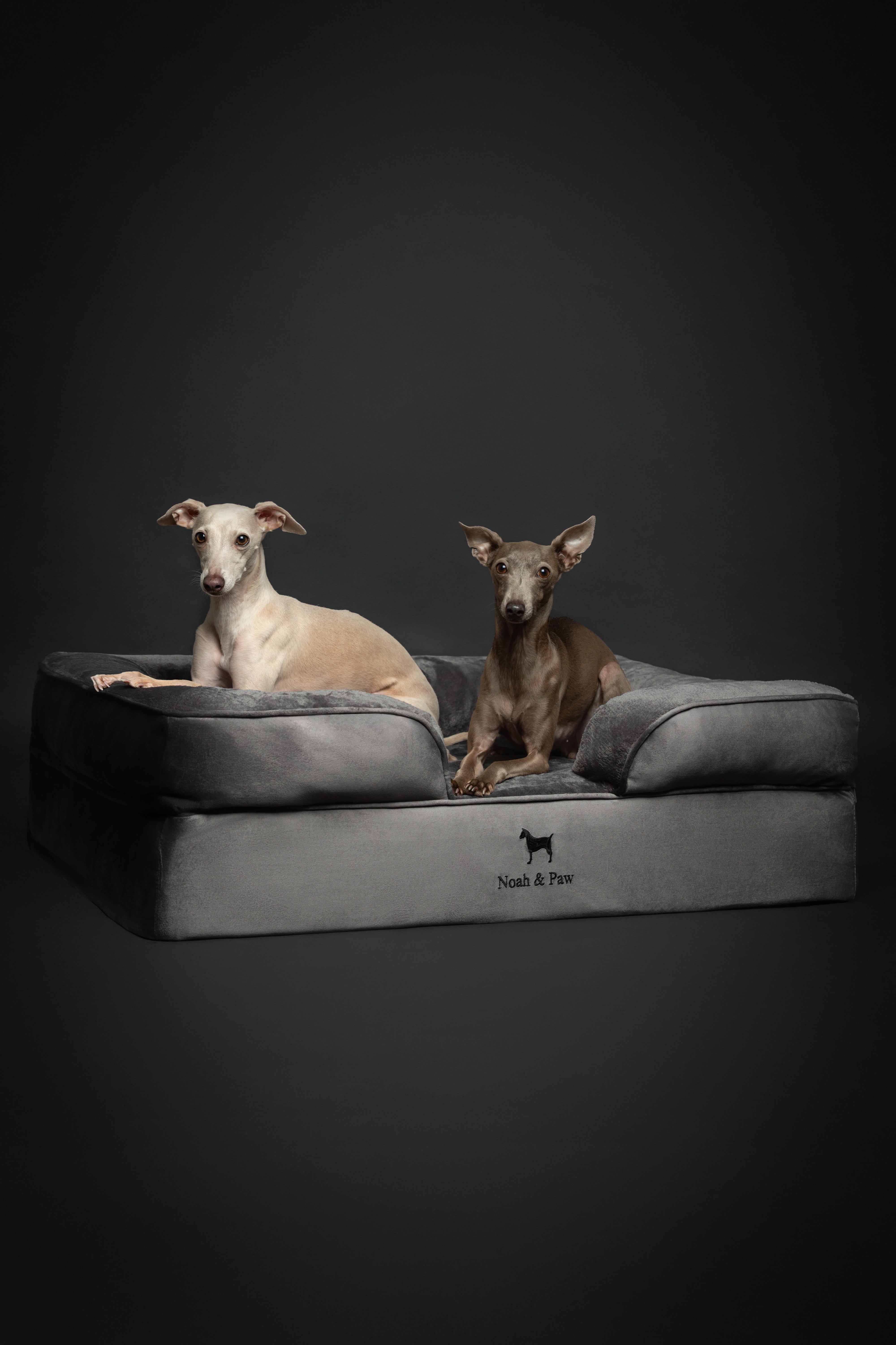 Velvet, Orthopedic Pet Bed, Sofa Style - Grey - L