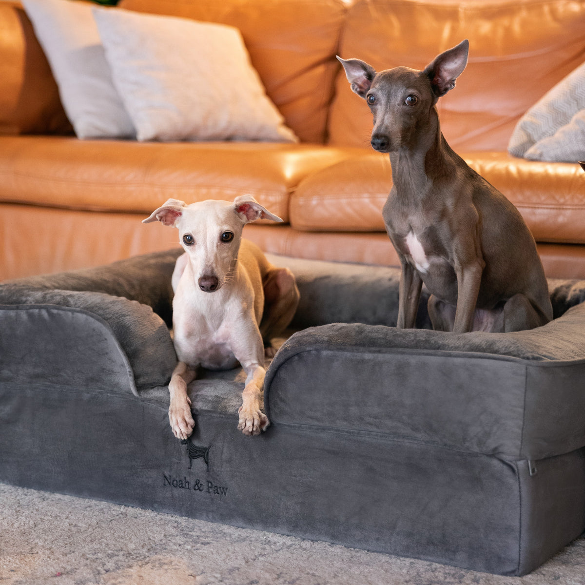 Noah & Paw orthopedic sofa dog bed in velvet with memory foam and cooling gel, gray, size L (35 x 25 x 11 in)