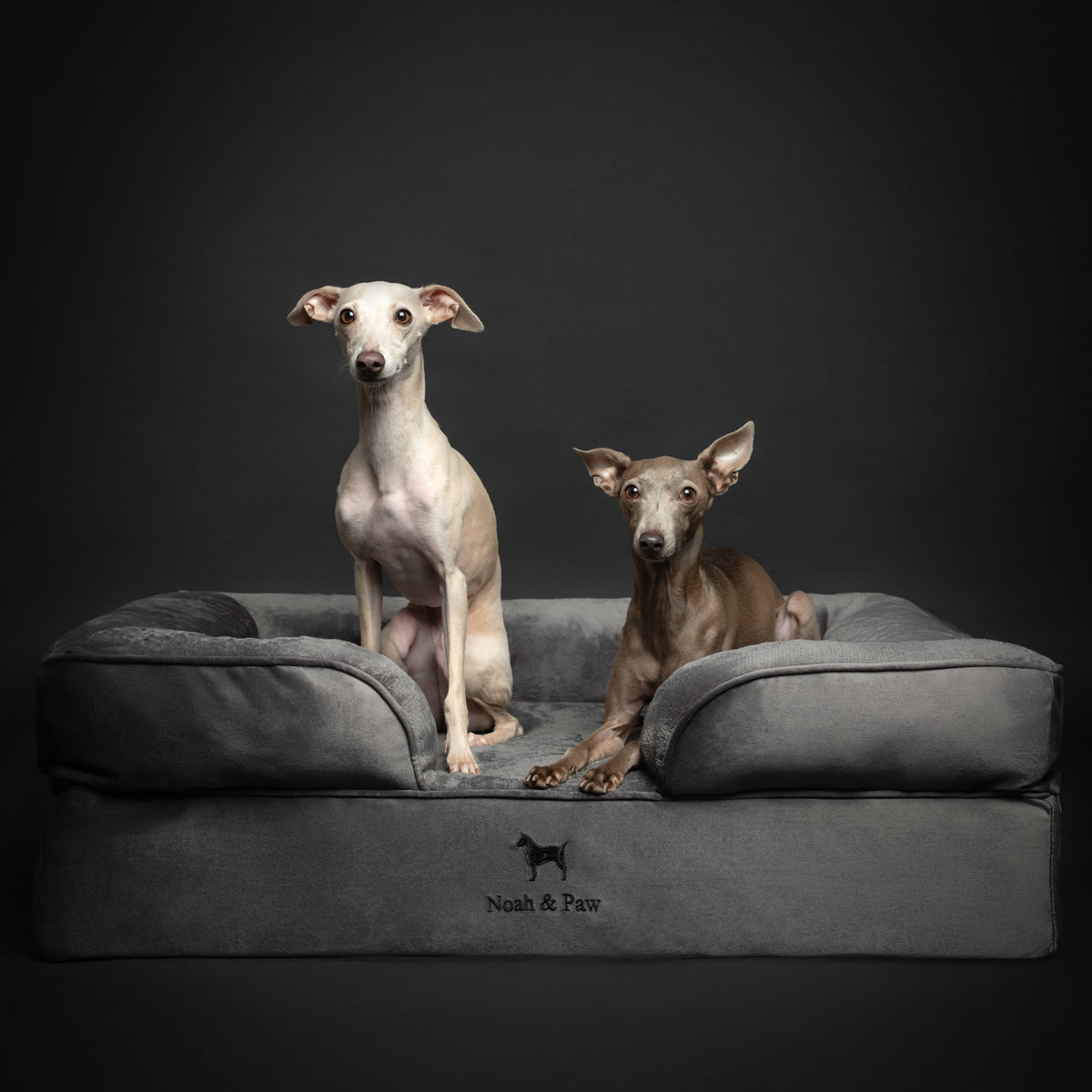 Noah & Paw orthopedic sofa dog bed in velvet with memory foam and cooling gel, gray, size L (35 x 25 x 11 in)