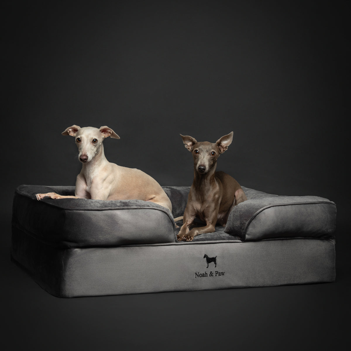 Noah & Paw orthopedic sofa dog bed in velvet with memory foam and cooling gel, gray, size L (35 x 25 x 11 in)