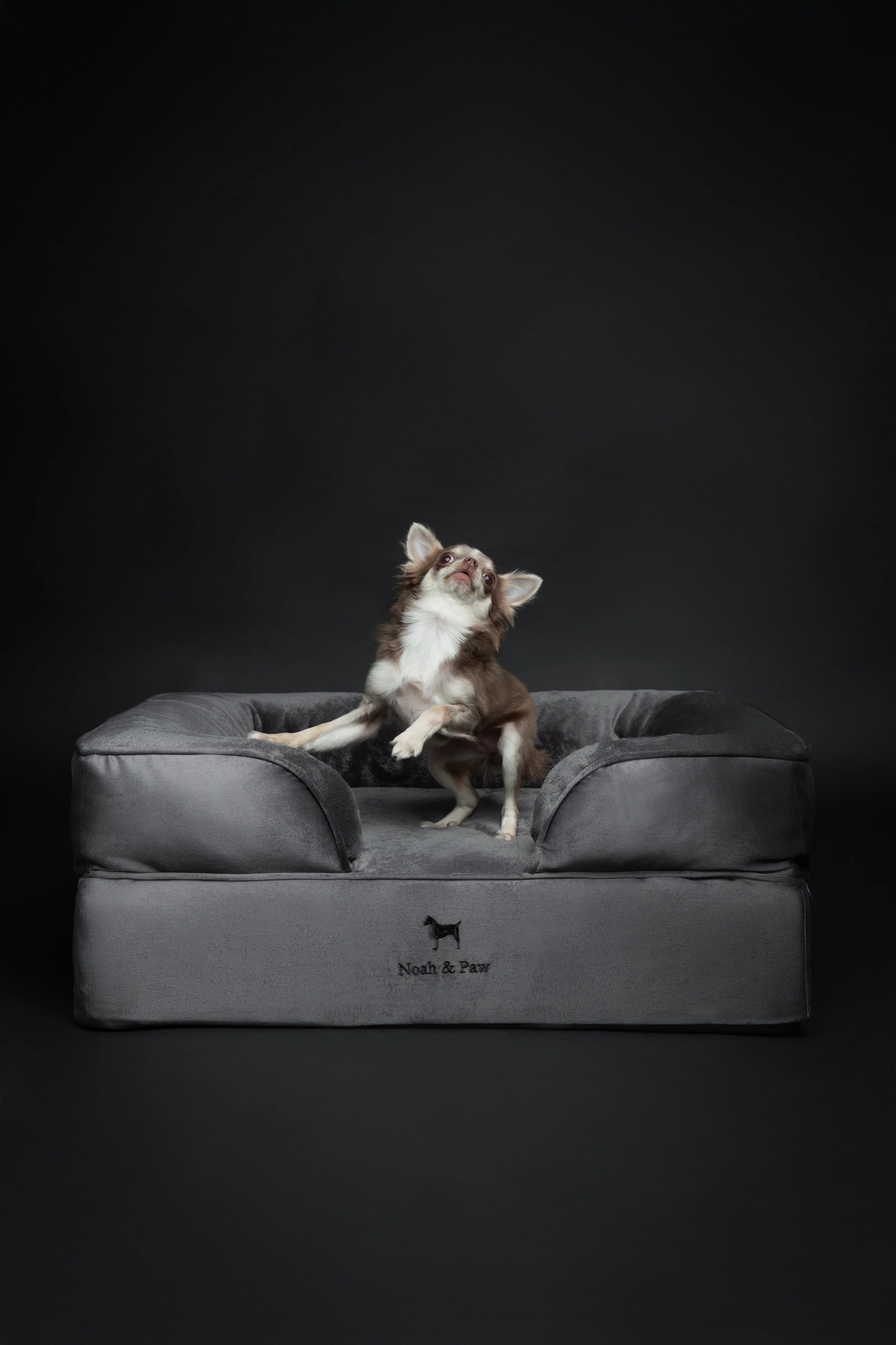 Velvet, Orthopedic Pet Bed, Sofa Style - Grey - M