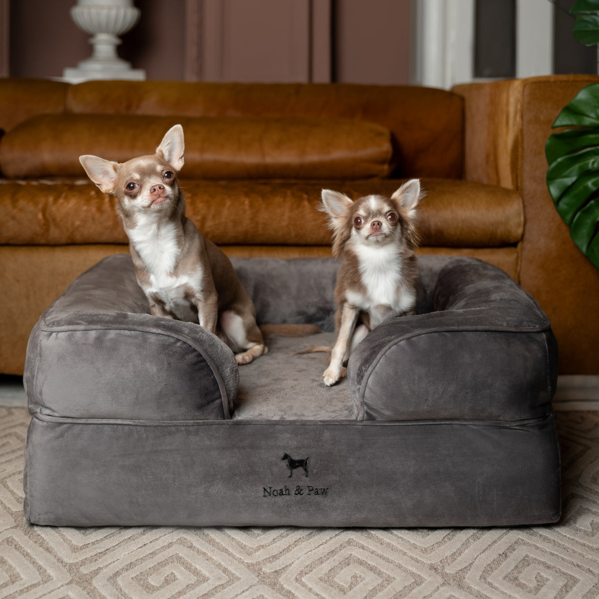 Noah & Paw orthopedic sofa dog bed in velvet with memory foam and cooling gel, gray, size M (28 x 23 x 11 in)