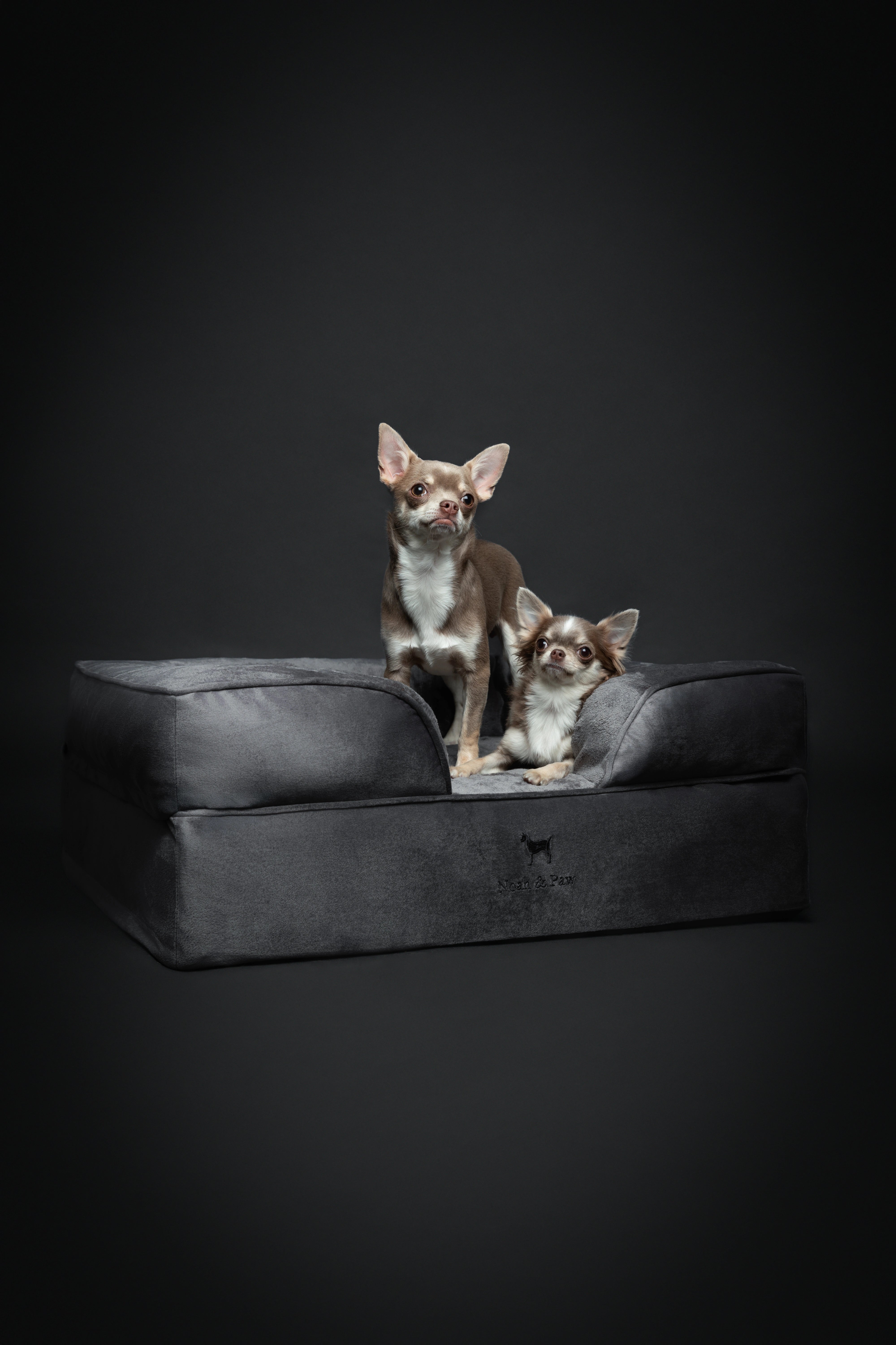 Velvet, Orthopedic Pet Bed, Sofa Style - Grey - M