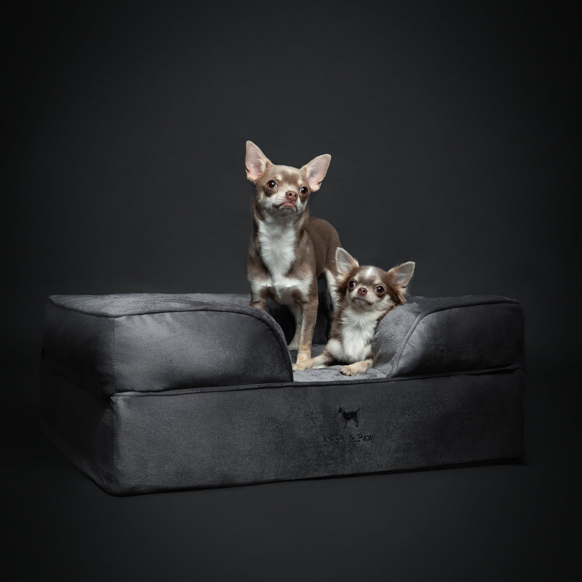 Noah & Paw orthopedic sofa dog bed in velvet with memory foam and cooling gel, gray, size M (28 x 23 x 11 in)