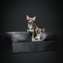 Noah & Paw orthopedic sofa dog bed in velvet with memory foam and cooling gel, gray, size M (28 x 23 x 11 in)