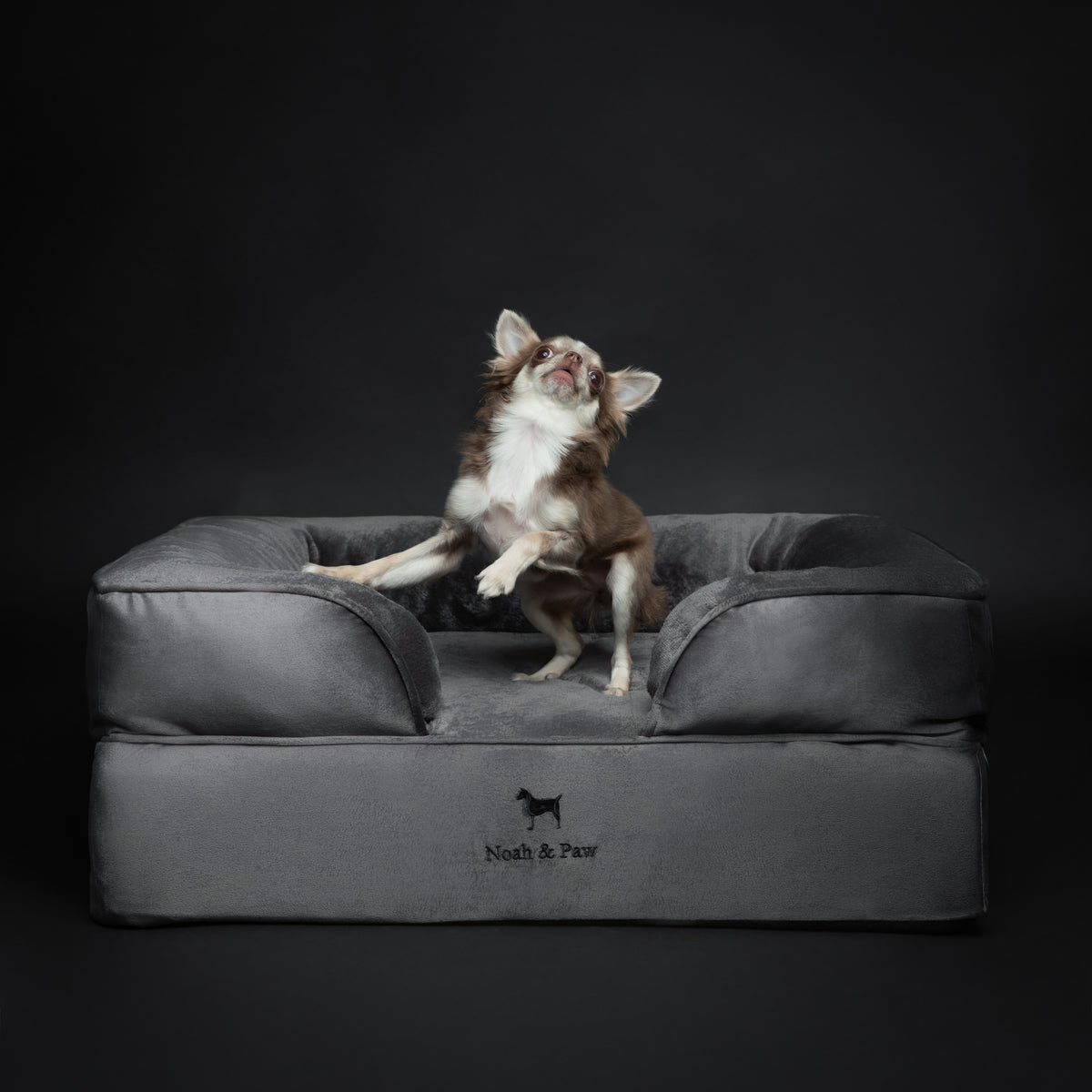 Velvet Orthopedic Pet Bed, Memory Foam, Infused with Cooling Gel